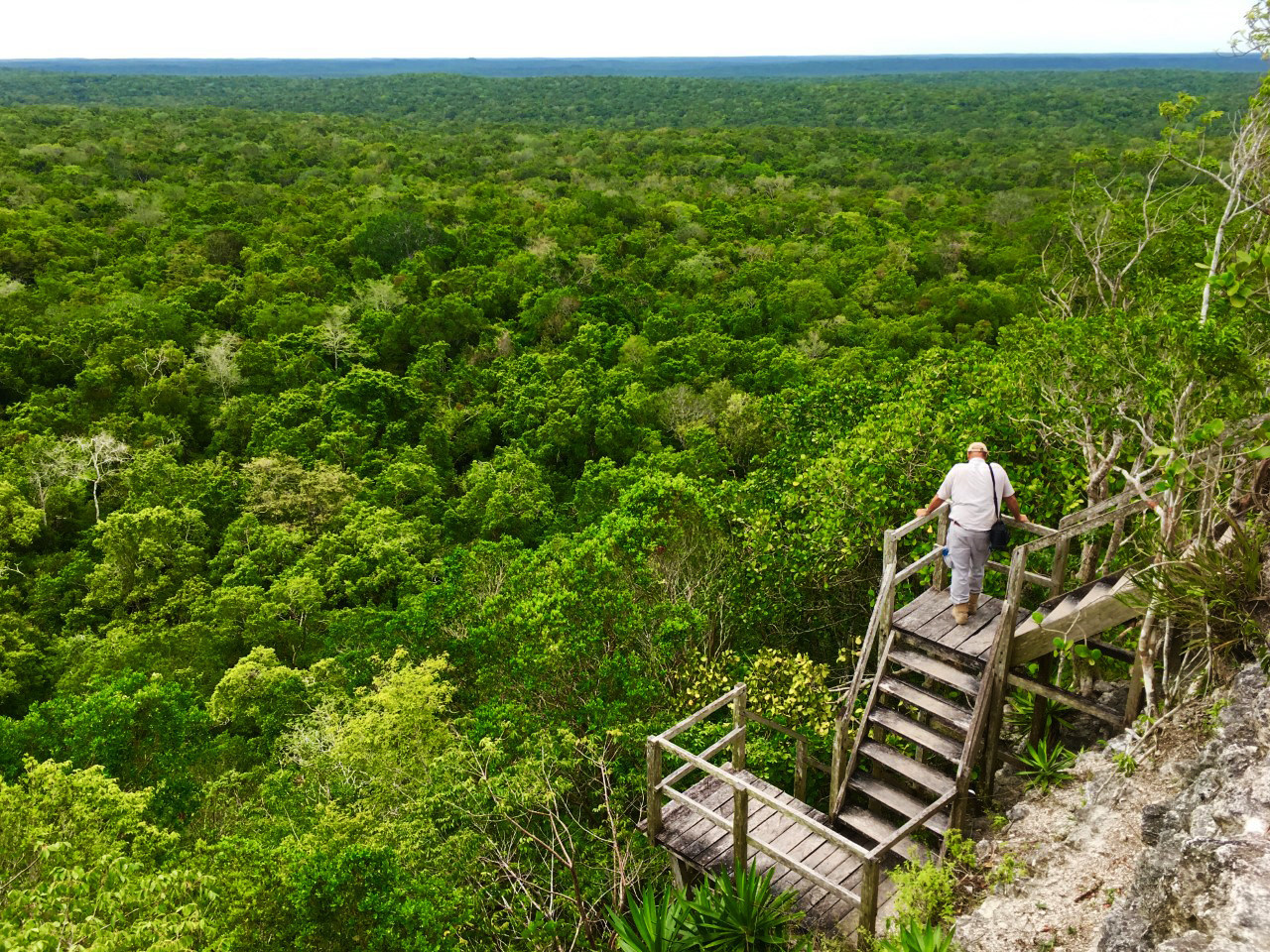 Maya Biosphere Reserve